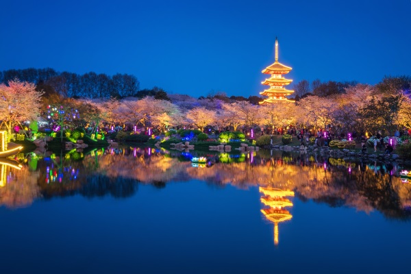 公園植物景觀(guān)照明