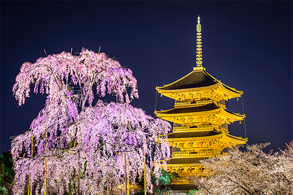 公園景觀(guān)照明工程
