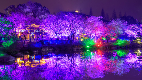 植物景觀(guān)照明以創(chuàng  )造最佳的園林視覺(jué)景觀(guān)
