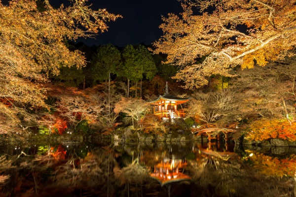 景觀(guān)燈光亮化公司